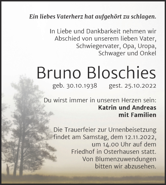 Traueranzeigen Von Bruno Bloschies Abschied Nehmen De