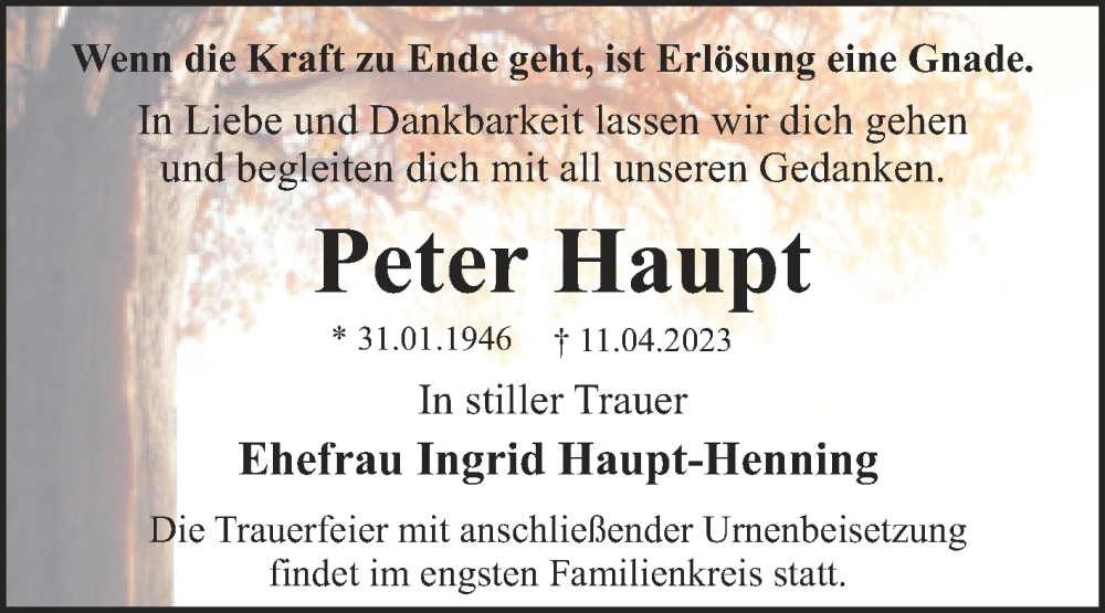 Traueranzeigen Von Peter Haupt Abschied Nehmen De